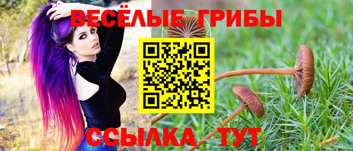 Кисловодск  Псилоцибиновые грибы Magic Shrooms  Вход с VPN 