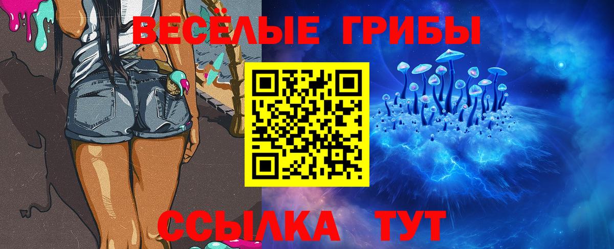 Псилоцибиновые грибы GOLDEN TEACHER Кисловодск